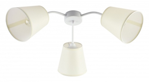 Потолочная люстра Rivoli Aimee Б0059971 в Нижнем Новгороде