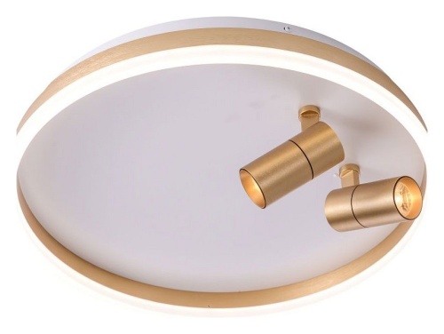 Накладной светильник Zortes Raizy ZRS.1888.02 в Нижнем Новгороде фото 2