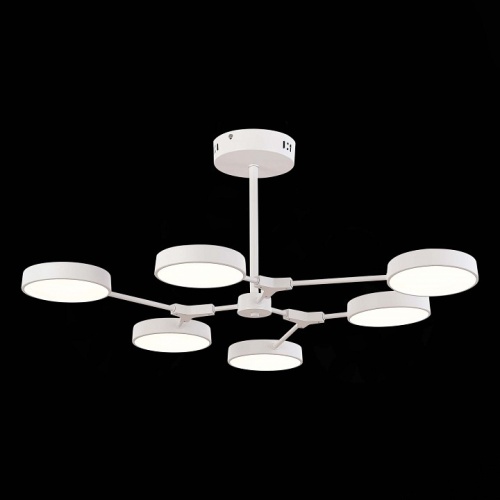 Люстра на штанге EVOLUCE Monta SLE6003-502-06 в Нижнем Новгороде фото 3