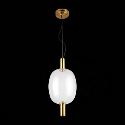 Подвесной светильник ST-Luce Allenore SL1582.313.01 в Нижнем Новгороде фото 4