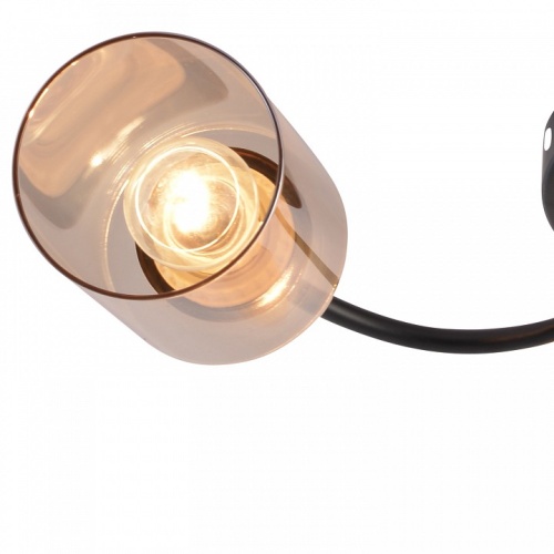 Потолочная люстра 01608-0.3-03 BK+BRASS в Нижнем Новгороде фото 2