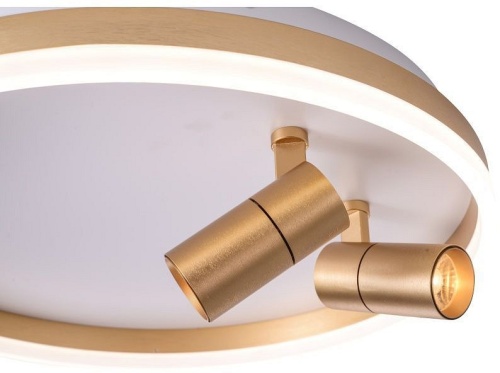 Накладной светильник Zortes Raizy ZRS.1888.02 в Нижнем Новгороде фото 6