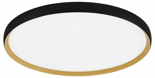 Накладной светильник EVOLUCE HELST SLE1810-402-01 в Нижнем Новгороде