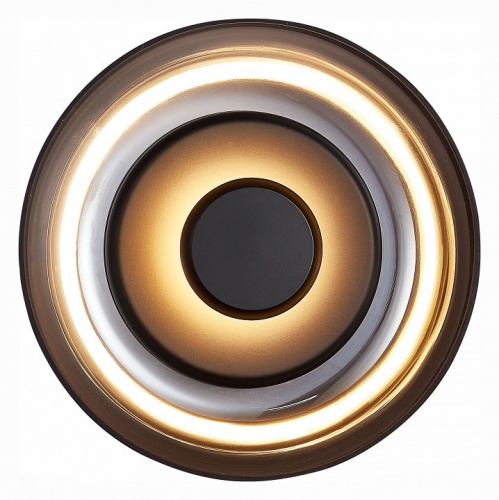 Накладной светильник ST-Luce Lazio SL6002.401.01 в Нижнем Новгороде фото 4