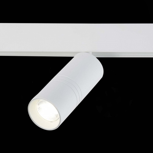 Светильник на штанге ST-Luce Lemmi ST365.546.18 в Нижнем Новгороде фото 3