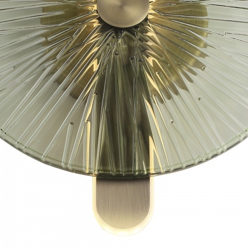 Накладной светильник ST-Luce WASI SL6141.321.01 в Нижнем Новгороде фото 2