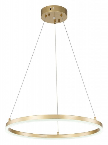 Подвесной светильник Escada Void 10254/1LED Gold APP в Дзержинске фото 3