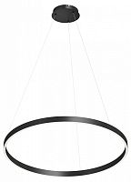 Подвесной светильник Denkirs RAYDIA DK6273-BK в Нижнем Новгороде