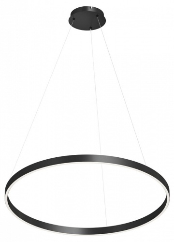 Подвесной светильник Denkirs RAYDIA DK6273-BK в Нижнем Новгороде