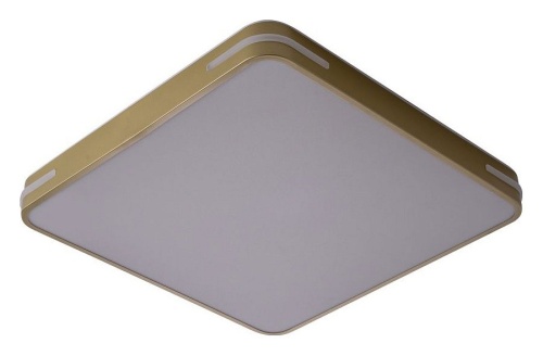 Накладной светильник Zortes Gabby ZRS.1215.04 в Нижнем Новгороде