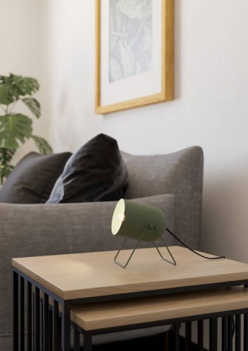 Настольная лампа декоративная Eglo TILSTON 44136 в Нижнем Новгороде фото 3