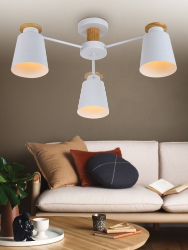 Потолочная люстра Rivoli Adna Б0053435 в Нижнем Новгороде фото 5