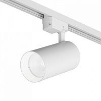 Светильник на штанге Denkirs  DK6456-WH в Нижнем Новгороде