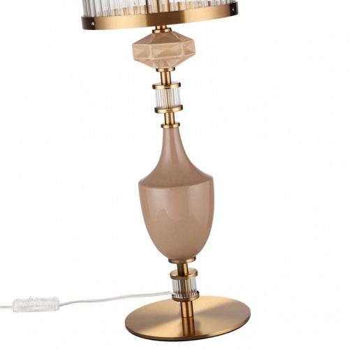 Настольная лампа декоративная Odeon Light Terra 5414/1TA в Нижнем Новгороде фото 5