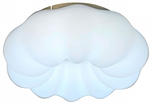 Накладной светильник Zortes Soft ZRS.1118.2 в Нижнем Новгороде