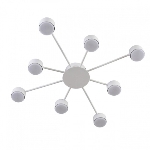 Потолочная люстра Lumion TORINA 8343/8C в Нижнем Новгороде фото 4