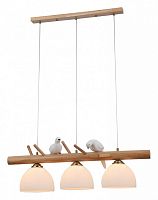 Подвесной светильник Arte Lamp Caprice A4183SP-3BR в Омске