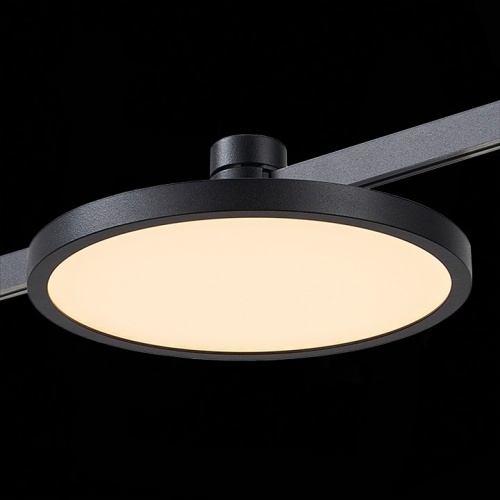 Накладной светильник ST-Luce Farm ST818.406.12 в Нижнем Новгороде фото 3