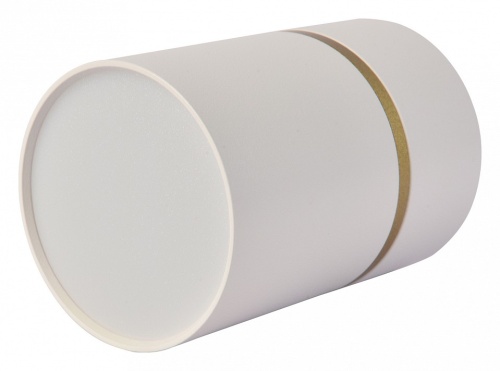 Накладной светильник Favourite Dunia 3067-1C в Нижнем Новгороде фото 3