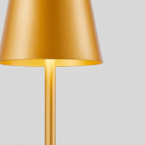 Настольная лампа декоративная F-promo Pyari 4616-1T в Нижнем Новгороде фото 4