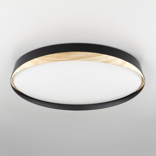 Накладной светильник Citilux BONNY CL754451G в Нижнем Новгороде фото 12