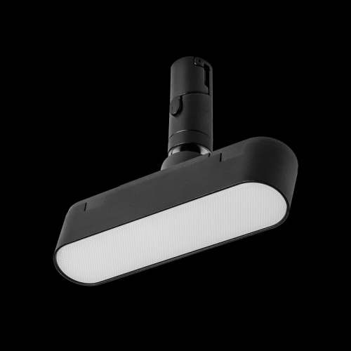 Светильник на штанге Lightstar DUE 267237 в Нижнем Новгороде фото 7