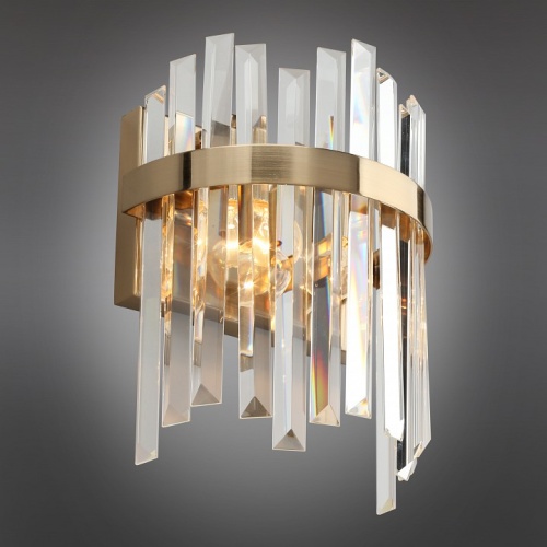 Накладной светильник Aployt Melisa APL.747.01.02 в Нижнем Новгороде фото 6