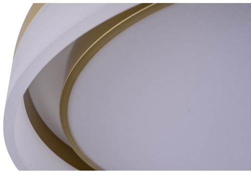 Накладной светильник Zortes Adel ZRS.1200.01 в Нижнем Новгороде фото 2