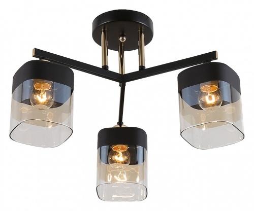 Люстра на штанге Rivoli Isadora Б0054750 в Нижнем Новгороде фото 2