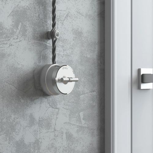 Выключатель одноклавишный с корпусом Werkel Vintage (серебро матовый/хром) W5812054 в Нижнем Новгороде фото 2