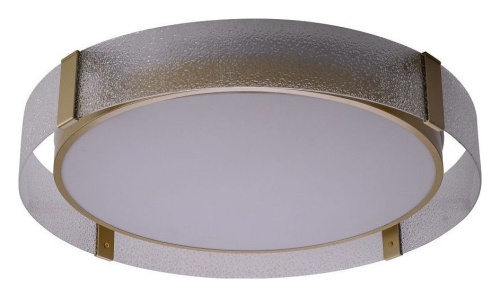 Накладной светильник Zortes Gerda ZRS.1097.60 в Нижнем Новгороде фото 10