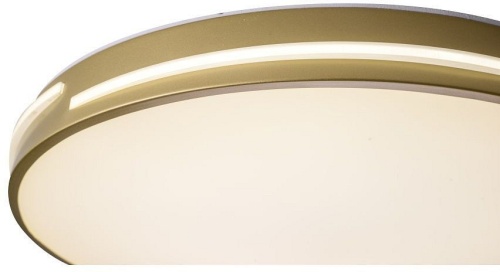 Накладной светильник Zortes Gabby ZRS.90610.50 в Нижнем Новгороде фото 2