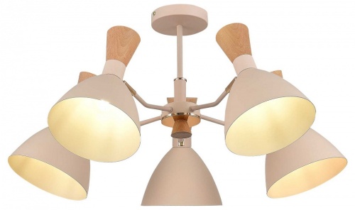 Люстра на штанге EVOLUCE VISTA SLE1256-502-05 в Нижнем Новгороде фото 6