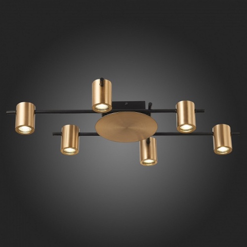 Потолочная люстра ST-Luce Veroli SL1207.402.06 в Нижнем Новгороде фото 6