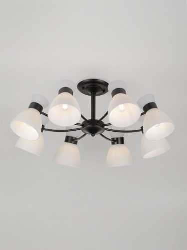 Люстра на штанге Rivoli Aemilia 9185-308 в Нижнем Новгороде фото 2