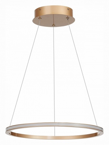 Подвесной светильник ST-Luce ST604 OUT ST604.243.22 в Нижнем Новгороде фото 3