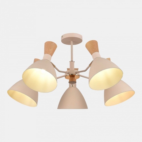 Люстра на штанге EVOLUCE VISTA SLE1256-502-05 в Нижнем Новгороде фото 7