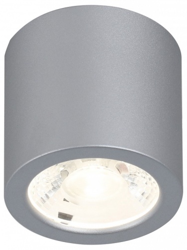 Накладной светильник Favourite Deorsum 2808-1C в Котельниче