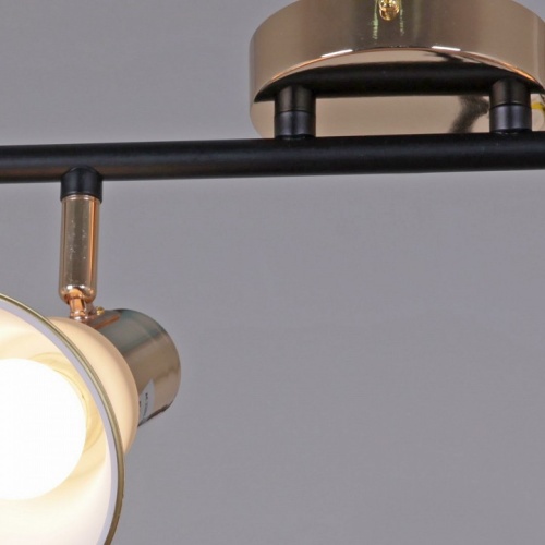 Люстра на штанге  05901-0.8-04 BK+FGD в Нижнем Новгороде фото 2