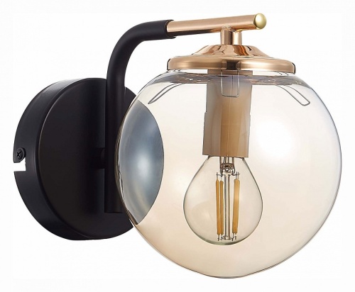 Бра EVOLUCE Literno SLE106901-01 в Нижнем Новгороде фото 2