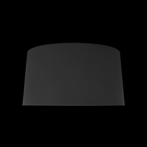 Накладной светильник Loft it Duo 10360M Grey в Нижнем Новгороде фото 4