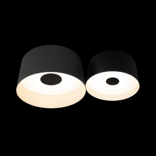 Накладной светильник Loft it Duo 10360/2 в Нижнем Новгороде фото 3