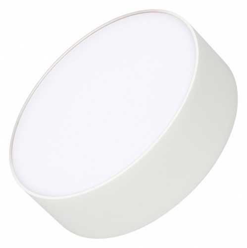 Накладной светильник Arlight RONDO 021777(2) в Нижнем Новгороде