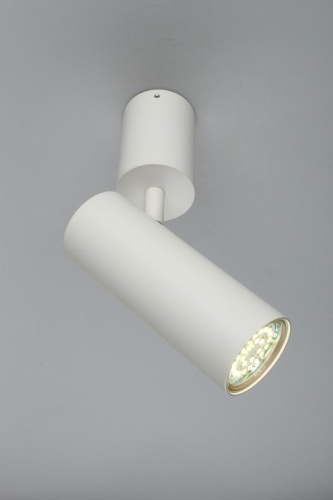 Спот Aployt Berenis APL.007.02.01 в Нижнем Новгороде фото 5