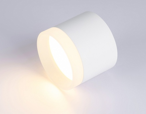 Накладной светильник Ambrella Light TN TN5365 в Нижнем Новгороде фото 6