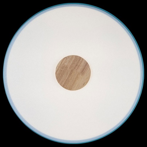 Накладной светильник Loft it Axel 2 10003/24 Blue в Нижнем Новгороде фото 2