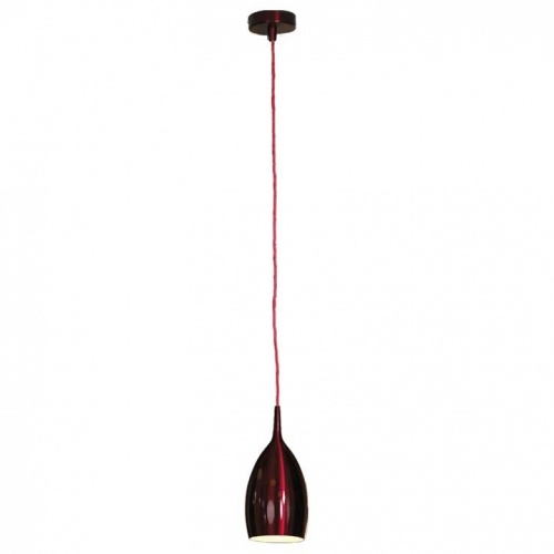 Подвесной светильник Lussole Collina LSQ-0716-01 в Нижнем Новгороде фото 2