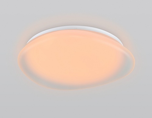 Накладной светильник Ambrella Light ORBITAL FZ1610 в Нижнем Новгороде фото 3