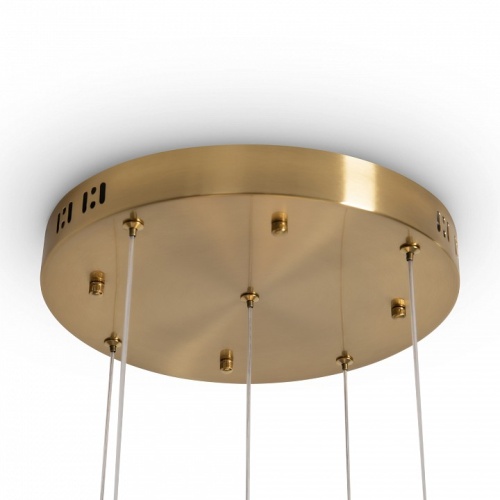 Подвесная люстра Freya Flower FR5579PL-L40BS в Нижнем Новгороде фото 4