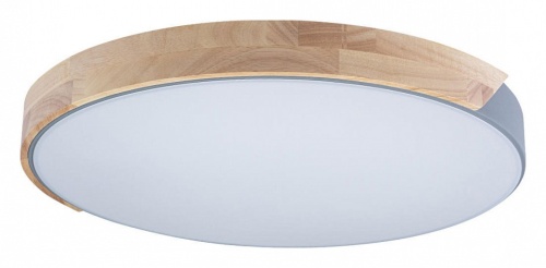 Накладной светильник Loft it Axel 3 10004/36 Grey в Нижнем Новгороде фото 6